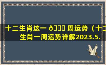 十二生肖这一 🐞 周运势（十二生肖一周运势详解2023.5.15—5.21）